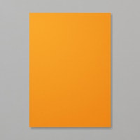 Pumpkin Pie A4 Card Stock Pumpkin Pie A4 Card Stock