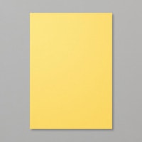 Daffodil Delight A4 Card Stock Daffodil Delight A4 Card Stock