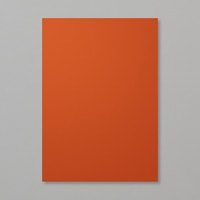 Cajun Craze A4 Card Stock Cajun Craze A4 Card Stock