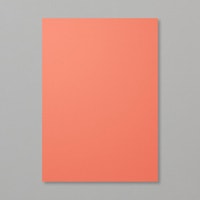 Calypso Coral A4 Card Stock Calypso Coral A4 Card Stock