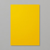 Card Stock A4 Crushed Curry Card Stock A4 Crushed Curry