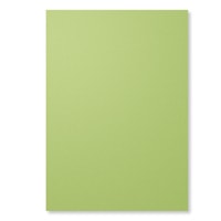 Card Stock A4 Pear Pizzazz Card Stock A4 Pear Pizzazz