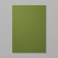 Mossy Meadow A4 Cardstock Mossy Meadow A4 Cardstock