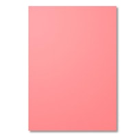 Flirty Flamingo A4 Cardstock Flirty Flamingo A4 Cardstock
