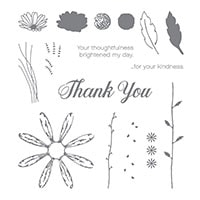 Daisy Delight Photopolymer Stamp Set Daisy Delight Photopolymer Stamp Set