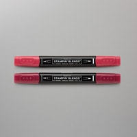 Cherry Cobbler Stampin' Blends Markers Combo Pack Cherry Cobbler Stampin' Blends Markers Combo Pack