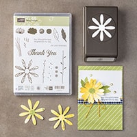 Daisy Delight Photopolymer Bundle Daisy Delight Photopolymer Bundle