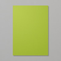 Granny Apple Green A4 Cardstock Granny Apple Green A4 Cardstock