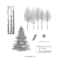 Winter Woods Clear-Mount Stamp Set Winter Woods Clear-Mount Stamp Set