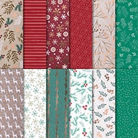 Joyous Noel 12" X 12" (30.5 X 30.5 Cm) Specialty Designer Series Paper Joyous Noel 12" X 12" (30.5 X 30.5 Cm) Specialty Designer Series Paper