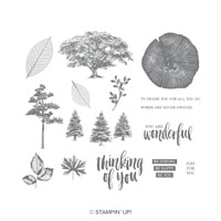 Rooted In Nature Cling Stamp Set (English)