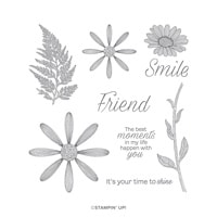 Daisy Lane Cling Stamp Set Daisy Lane Cling Stamp Set