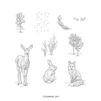 Nature's Beauty Cling Stamp Set Nature's Beauty Cling Stamp Set