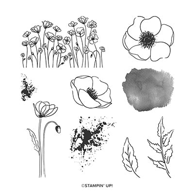 Painted Poppies Cling Stamp Set Painted Poppies Cling Stamp Set