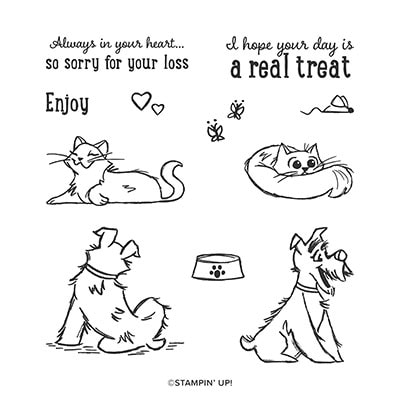 Pampered Pets Cling Stamp Set Pampered Pets Cling Stamp Set