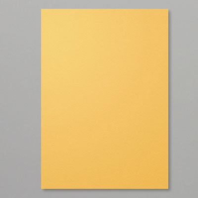 Bumblebee A4 Cardstock Bumblebee A4 Cardstock