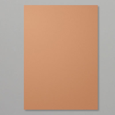 Cinnamon Cider A4 Cardstock Cinnamon Cider A4 Cardstock