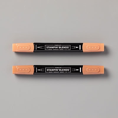 Cinnamon Cider Stampin' Blends Combo Pack Cinnamon Cider Stampin' Blends Combo Pack