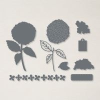 Hydrangea Dies Hydrangea Dies