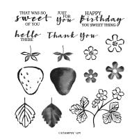 Sweet Strawberry Photopolymer Stamp Set Sweet Strawberry Photopolymer Stamp Set