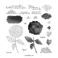 Hydrangea Haven Photopolymer Stamp Set Hydrangea Haven Photopolymer Stamp Set
