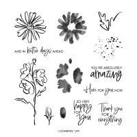 Color & Contour Photopolymer Stamp Set Color & Contour Photopolymer Stamp Set