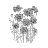 Daisy Garden Cling Stamp Set