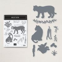 Wild Cats Bundle (English) Wild Cats Bundle (English)