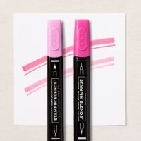 Polished Pink Stampin' Blends Combo Pack Polished Pink Stampin' Blends Combo Pack
