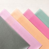 2021–2023 In Color Shimmer Vellum 2021–2023 In Color Shimmer Vellum