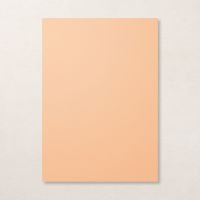 Pale Papaya A4 Cardstock Pale Papaya A4 Cardstock