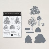 Beauty Of Friendship Bundle (English) Beauty Of Friendship Bundle (English)