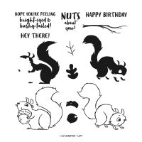 Nuts About Squirrels Photopolymer Stamp Set Nuts About Squirrels Photopolymer Stamp Set