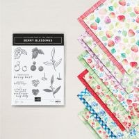 Berry Blessings Bundle (English) Berry Blessings Bundle (English)