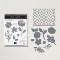 True Beauty Bundle (English) True Beauty Bundle (English)