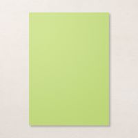 Parakeet Party A4 Cardstock Parakeet Party A4 Cardstock