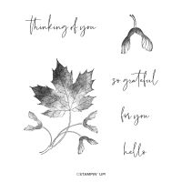 Soft Seedlings Cling Stamp Set (English) Soft Seedlings Cling Stamp Set (English)