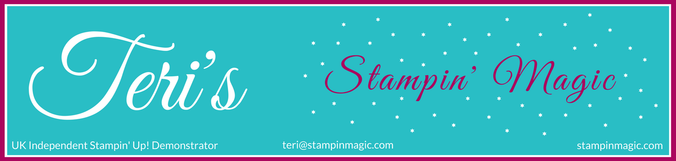 Stampin' Up! UK Demonstrator - Teri Pocock
